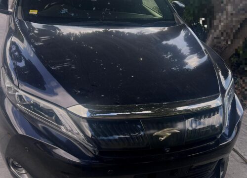 Exploring the Road Less Traveled with TCI SUV Rentals