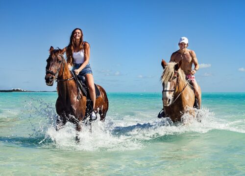 TCI Car Rentals